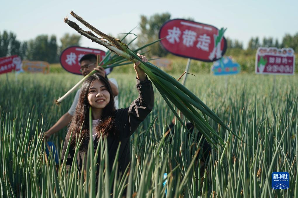 下载金沙棋牌